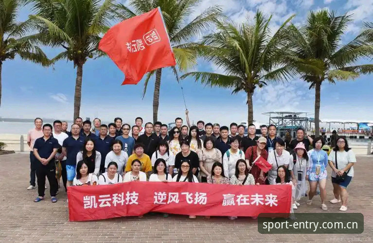 3个关键对比点帮你选对凯云体育官方入口